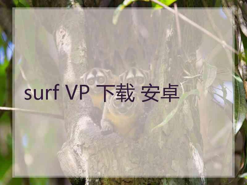 surf VP 下载 安卓