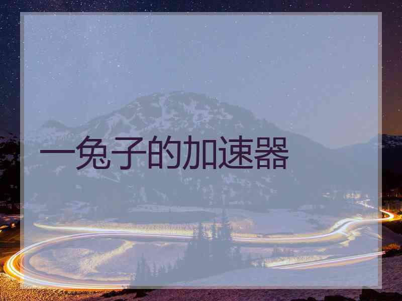 一兔子的加速器