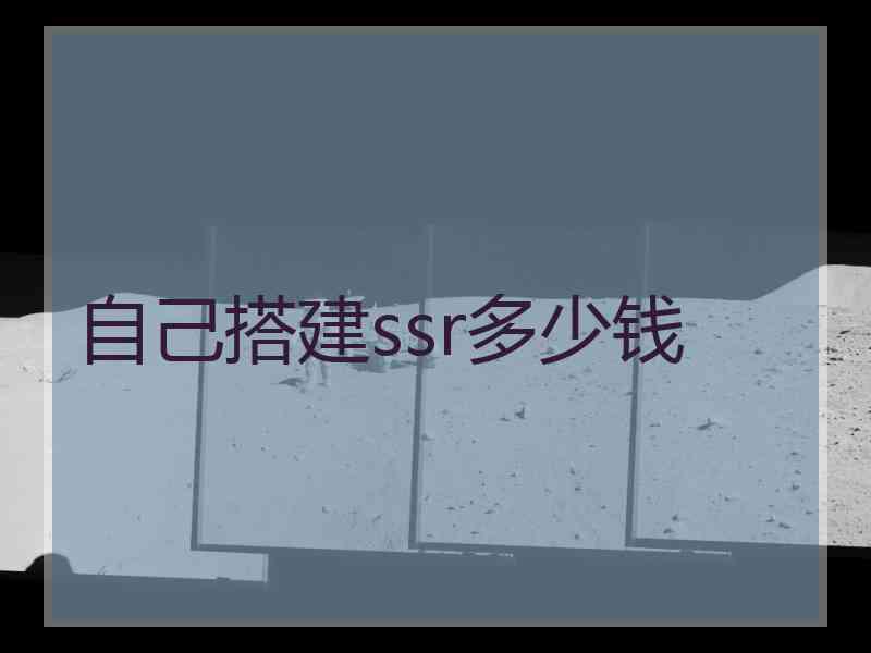 自己搭建ssr多少钱