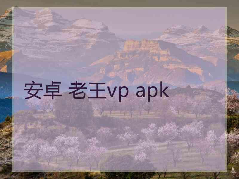 安卓 老王vp apk