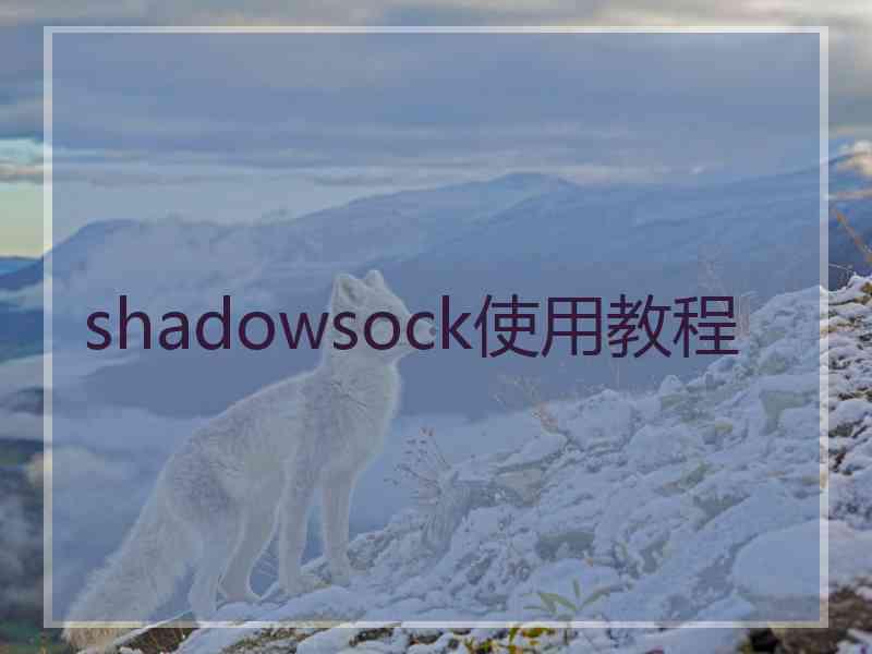 shadowsock使用教程
