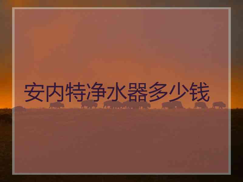 安内特净水器多少钱