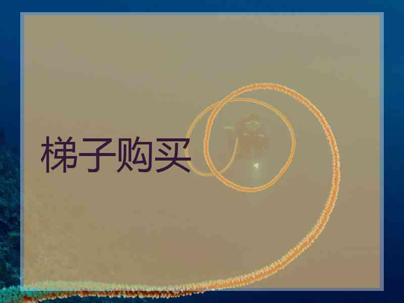 梯子购买