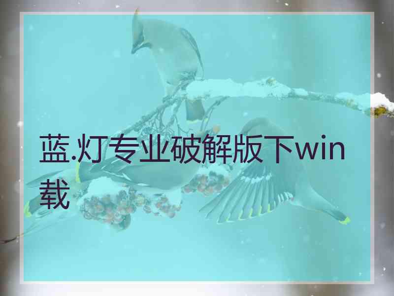 蓝.灯专业破解版下win载