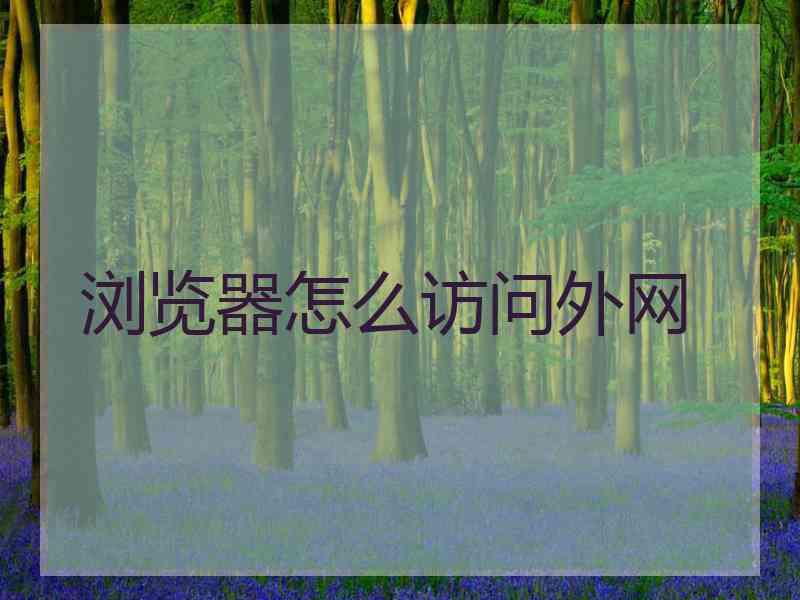 浏览器怎么访问外网