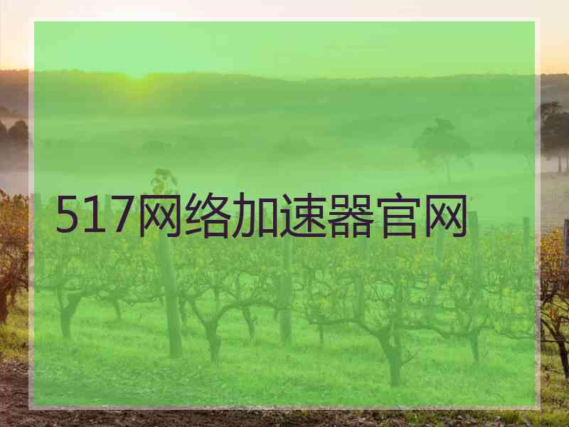 517网络加速器官网