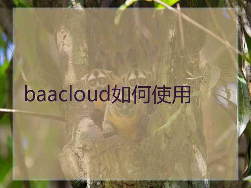 baacloud如何使用