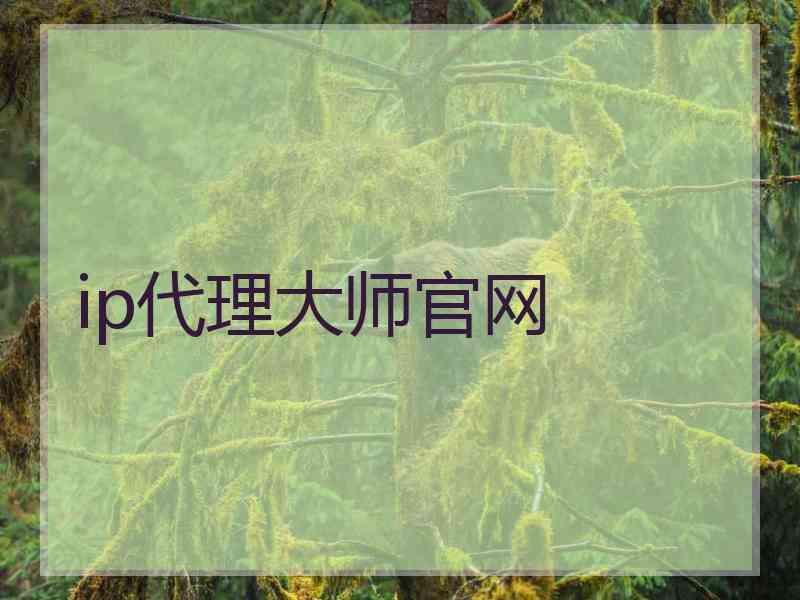 ip代理大师官网