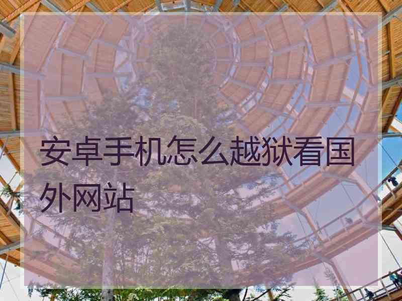 安卓手机怎么越狱看国外网站