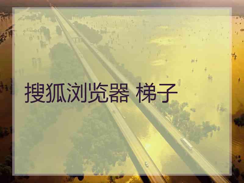 搜狐浏览器 梯子