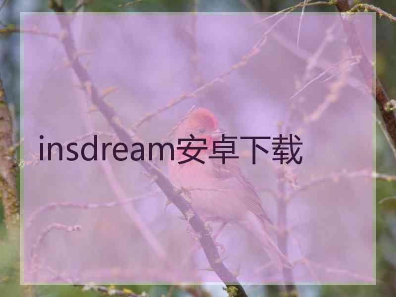 insdream安卓下载