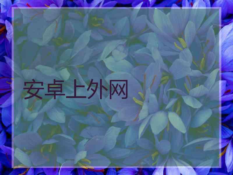 安卓上外网