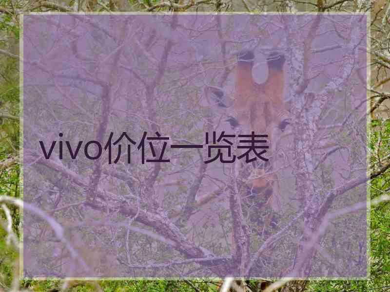 vivo价位一览表