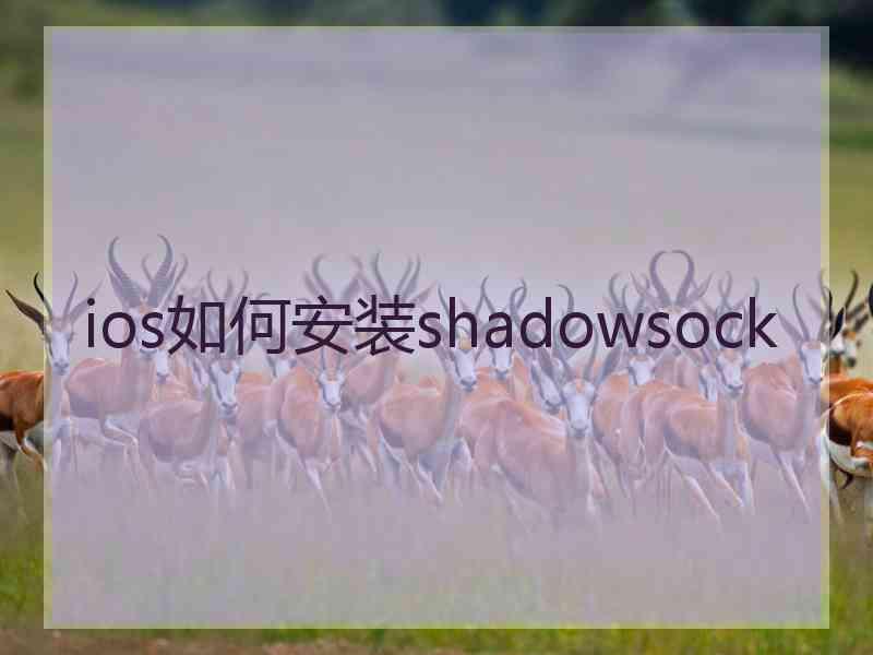 ios如何安装shadowsock