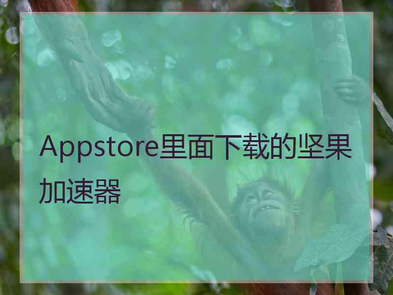 Appstore里面下载的坚果加速器