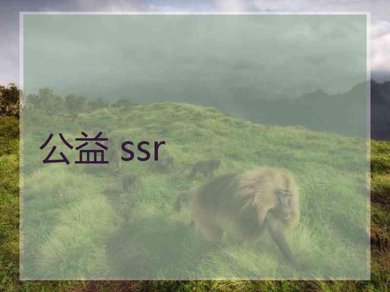 公益 ssr