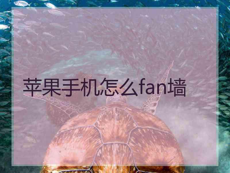 苹果手机怎么fan墙
