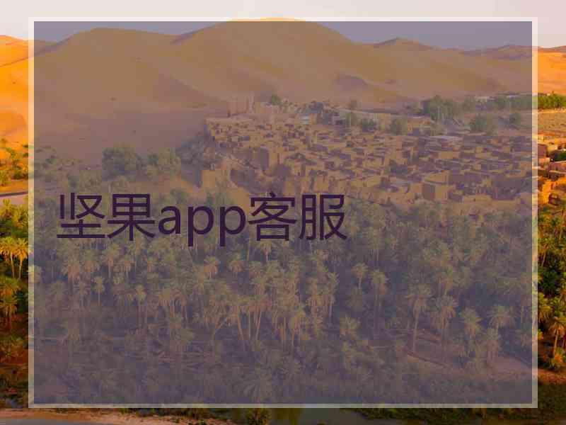坚果app客服