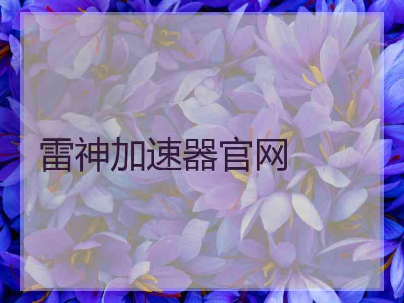 雷神加速器官网