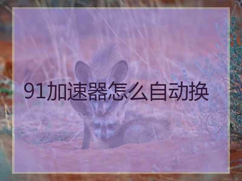 91加速器怎么自动换