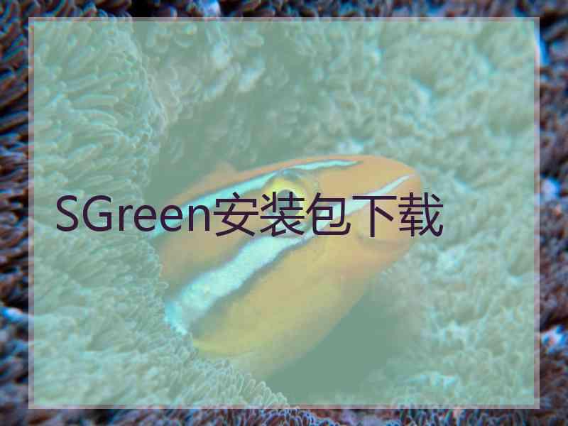 SGreen安装包下载