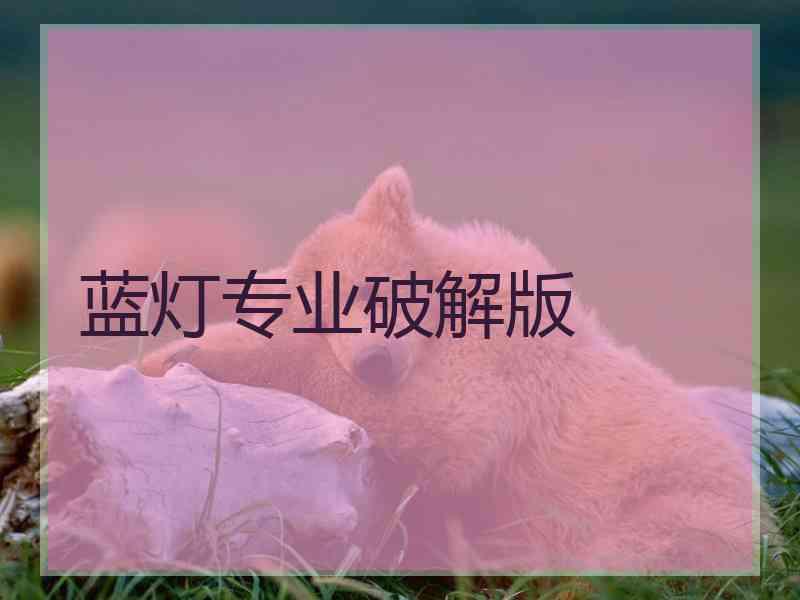 蓝灯专业破解版