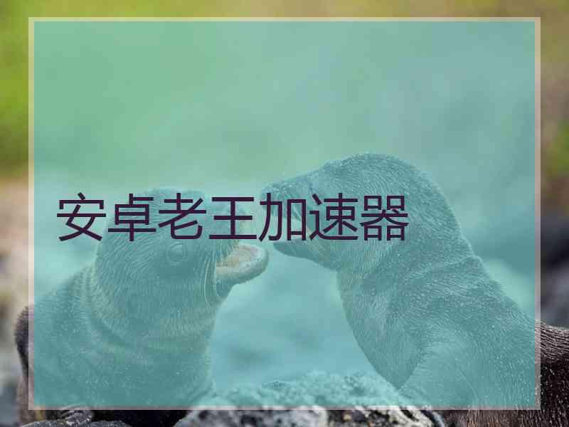 安卓老王加速器