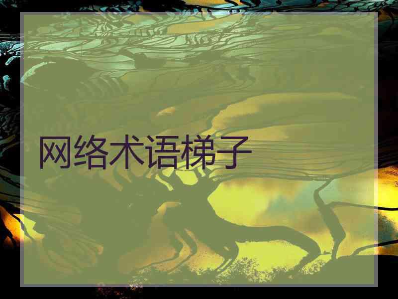 网络术语梯子