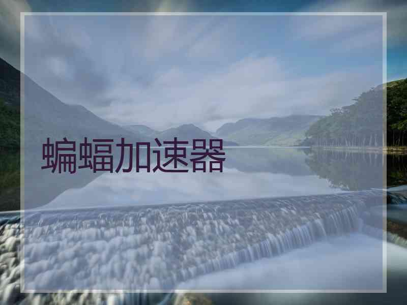 蝙蝠加速器