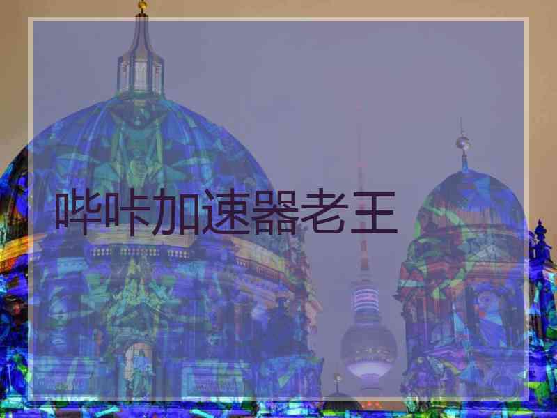 哔咔加速器老王