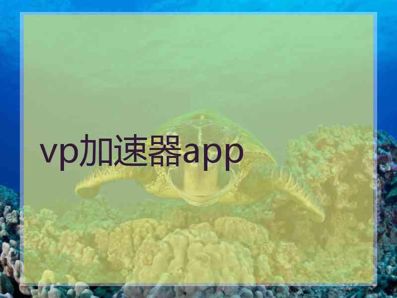 vp加速器app