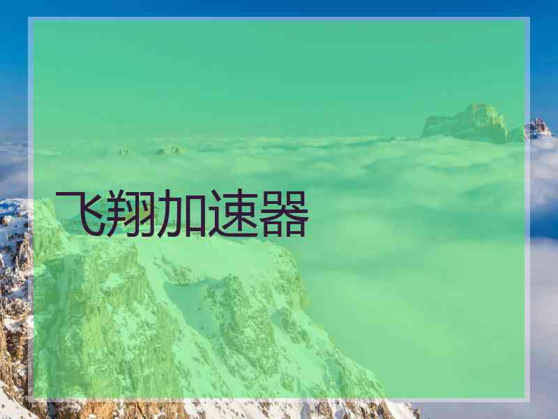 飞翔加速器