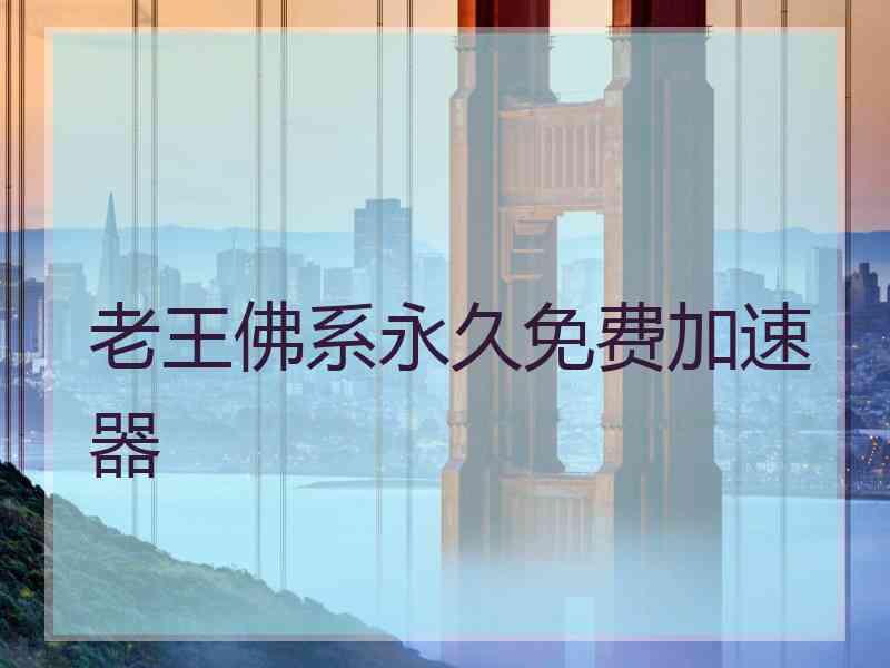 老王佛系永久免费加速器