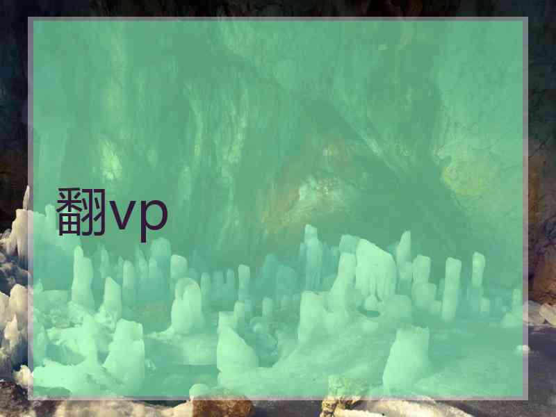 翻vp