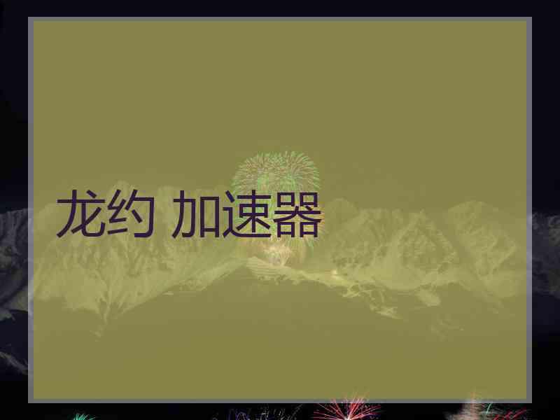 龙约 加速器