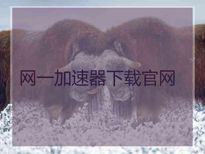 网一加速器下载官网
