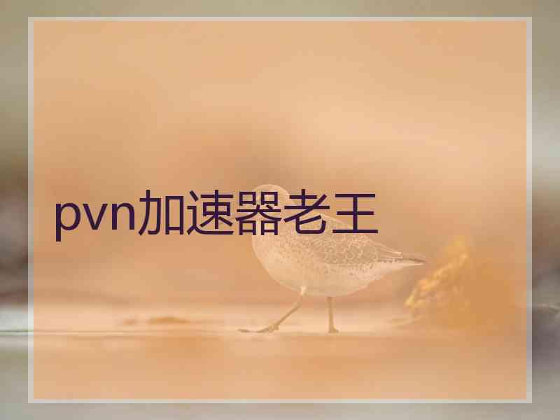 pvn加速器老王