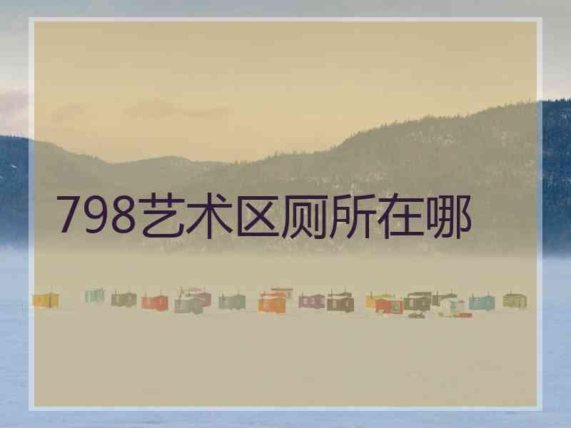 798艺术区厕所在哪