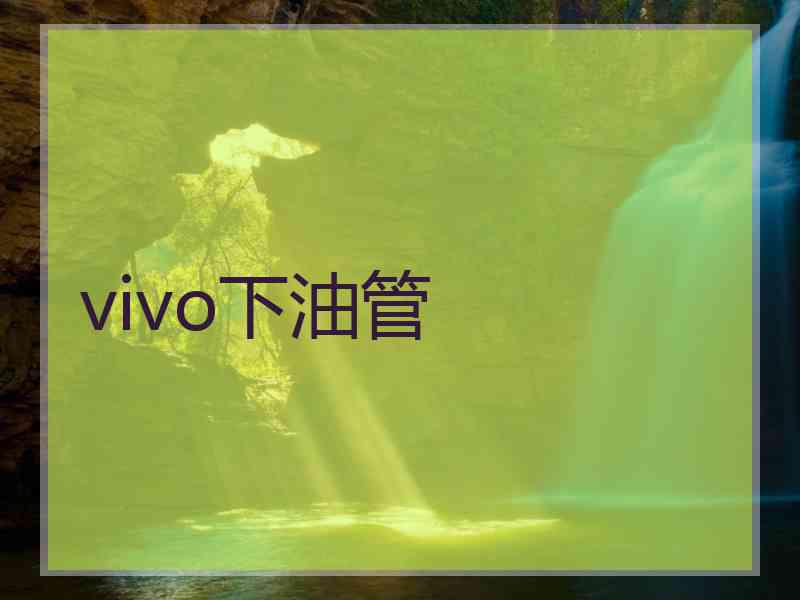 vivo下油管