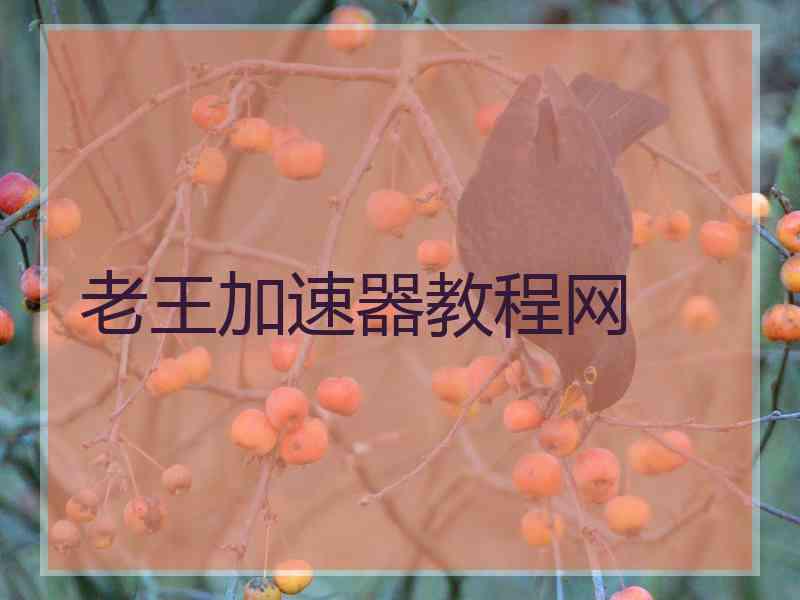 老王加速器教程网