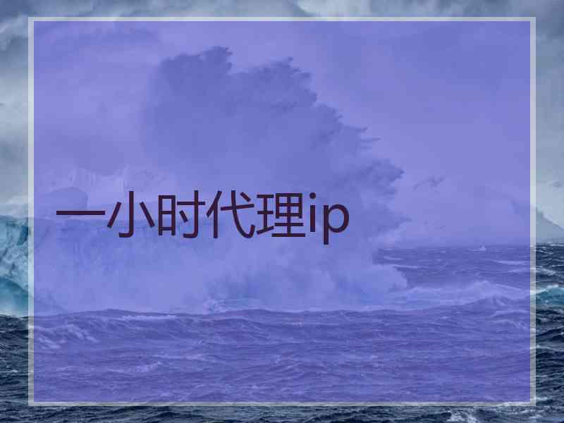 一小时代理ip