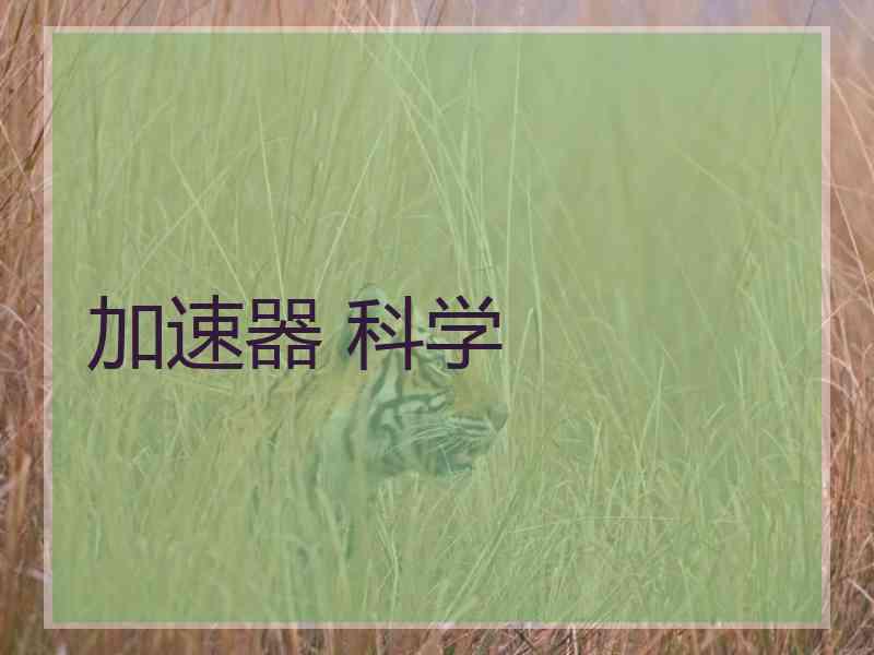 加速器 科学