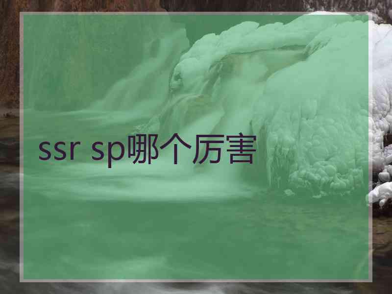 ssr sp哪个厉害