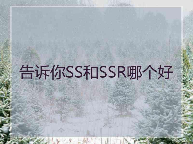 告诉你SS和SSR哪个好