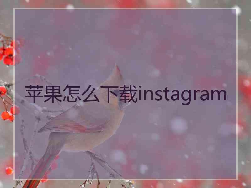 苹果怎么下载instagram