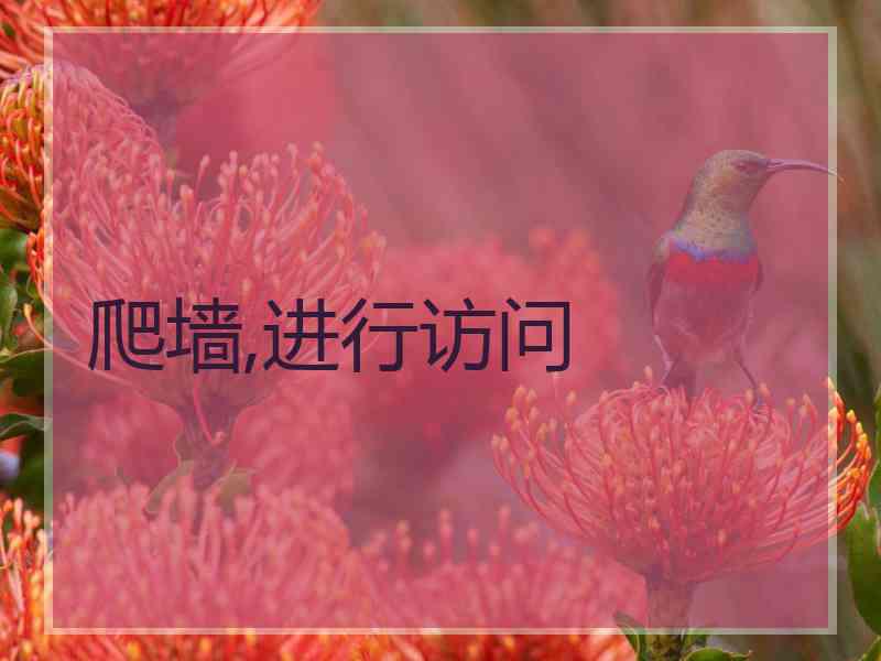 爬墙,进行访问