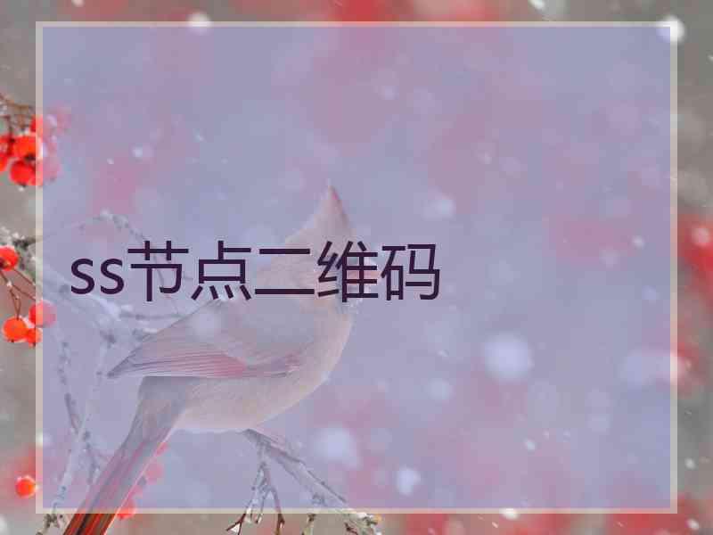 ss节点二维码