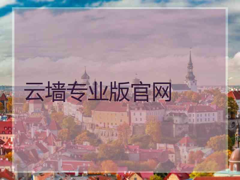 云墙专业版官网