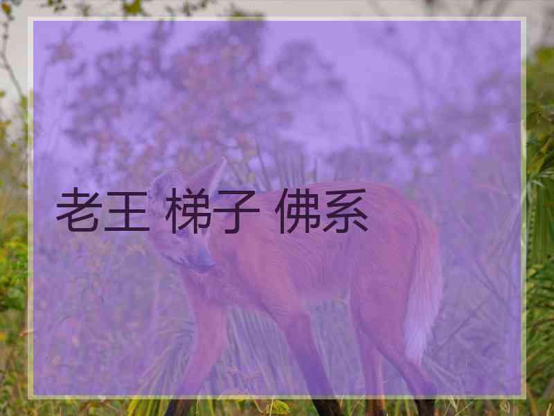 老王 梯子 佛系