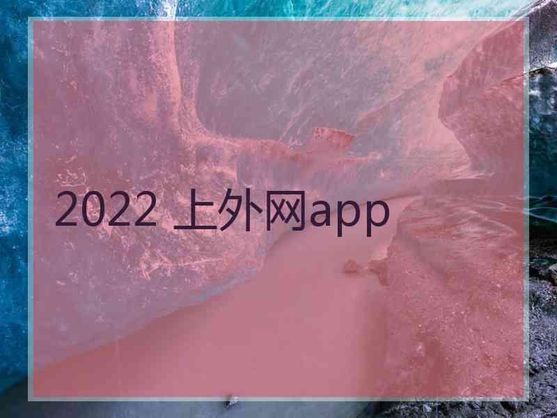 2022 上外网app